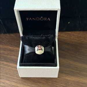 Authentic Pandora Figgy Pudding Christmas Charm